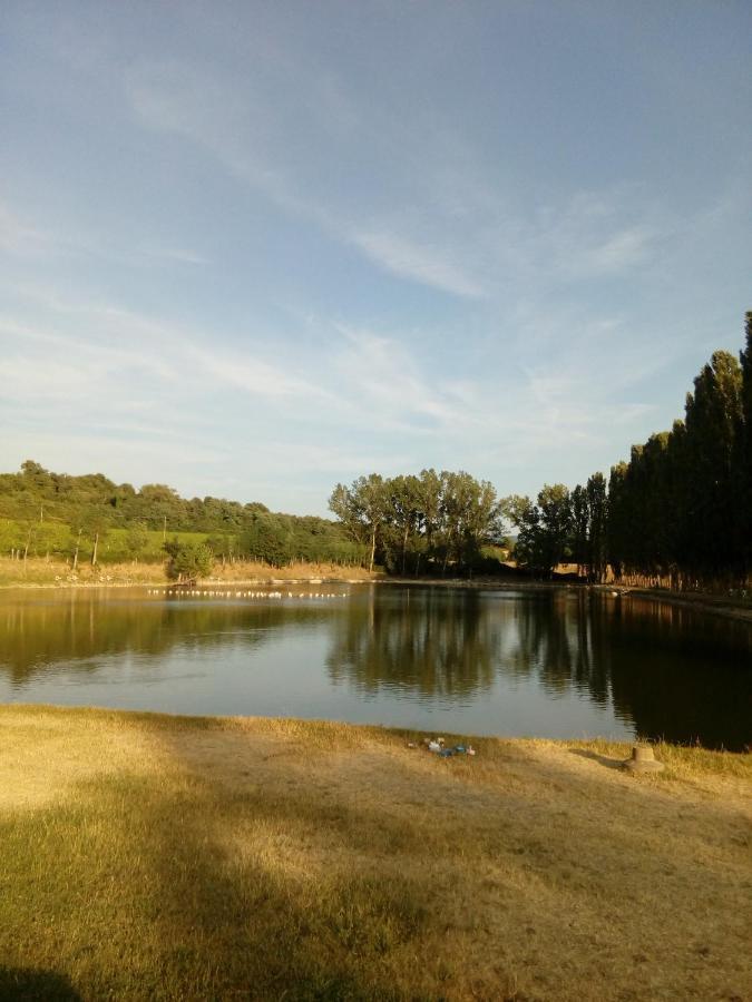 Antica Dimora Figli Di Bocco Lägenhet Castiglion Fibocchi Exteriör bild