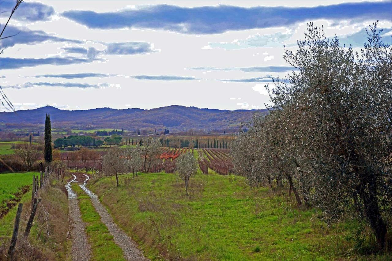 Antica Dimora Figli Di Bocco Lägenhet Castiglion Fibocchi Exteriör bild