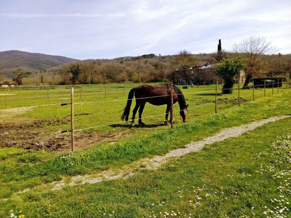 Antica Dimora Figli Di Bocco Lägenhet Castiglion Fibocchi Exteriör bild